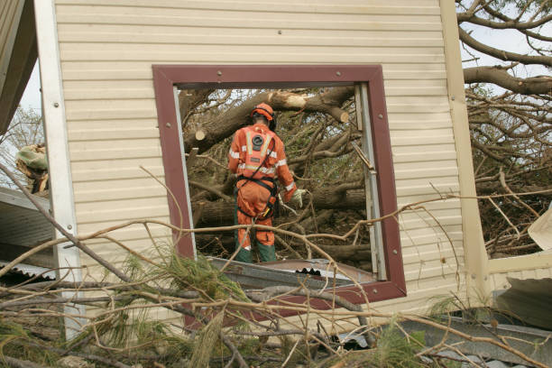 How Our Tree Care Process Works  in  Tigerville, SC